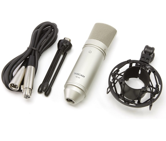 TASCAM TM-80 CONDENSER MICROPHONE SILVER - Gambar 2